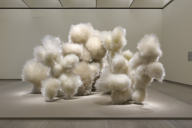 Tara Donovan Aggregations at the Bruce Museum