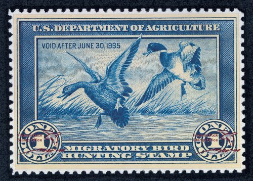 duck-stamp-1934-1935-watermark