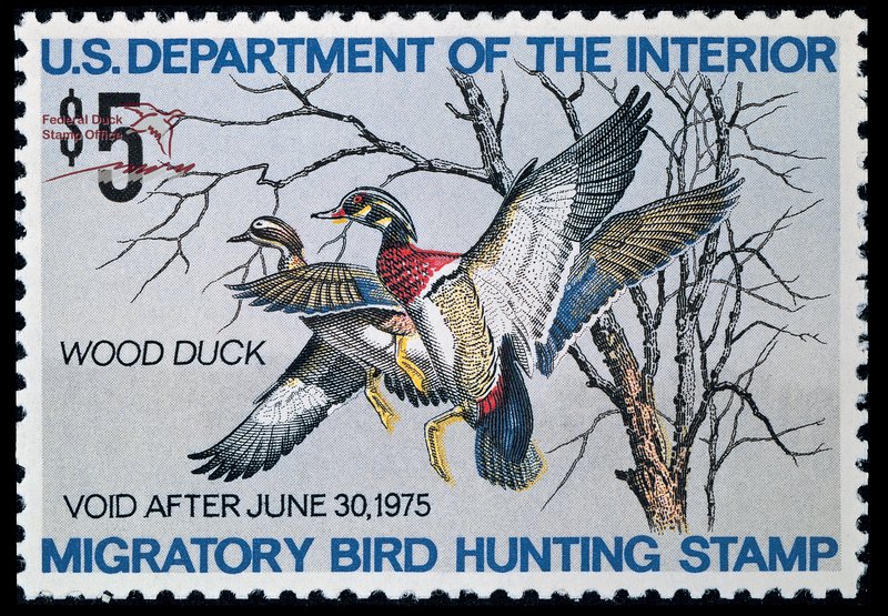 duck-stamp-1974-1975-watermark