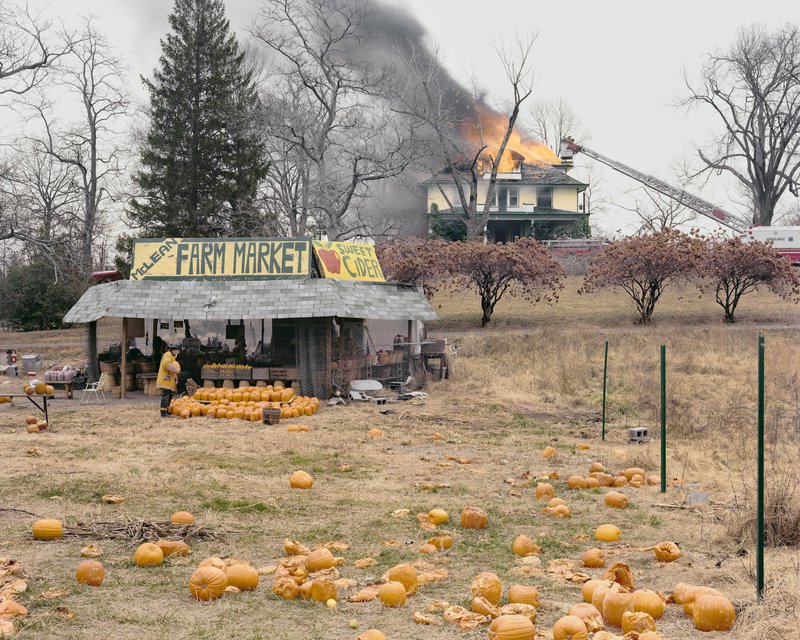 Joel Sternfeld, Pumpkin